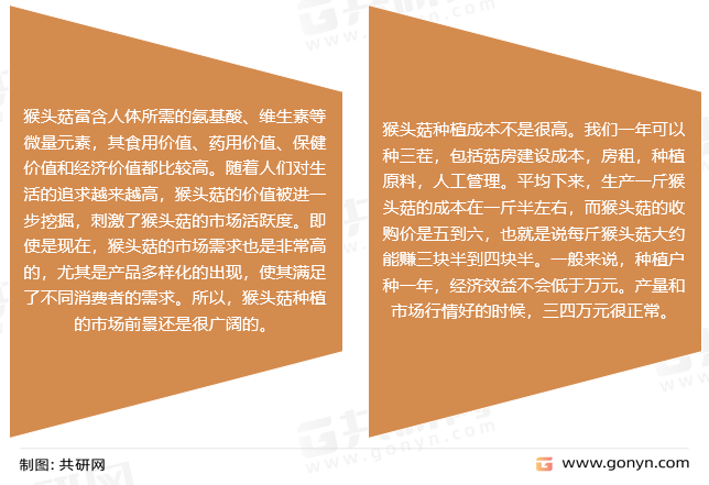 红姐论坛资料大全,红姐论坛资料大全，深度解析与探索