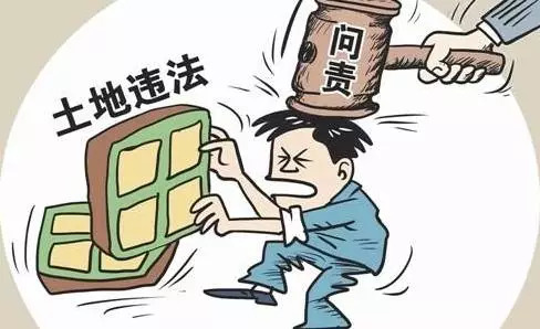 绿阴如盖 第8页