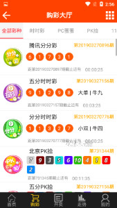 王中王493333中特1肖,王中王493333中特1肖的魅力与奥秘