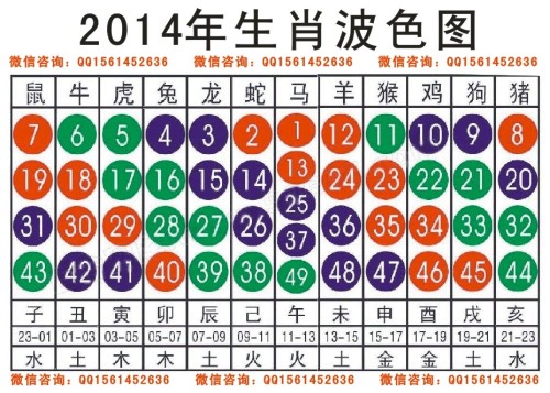 2024十二生肖49码表,2024年十二生肖49码表及其寓意与预测