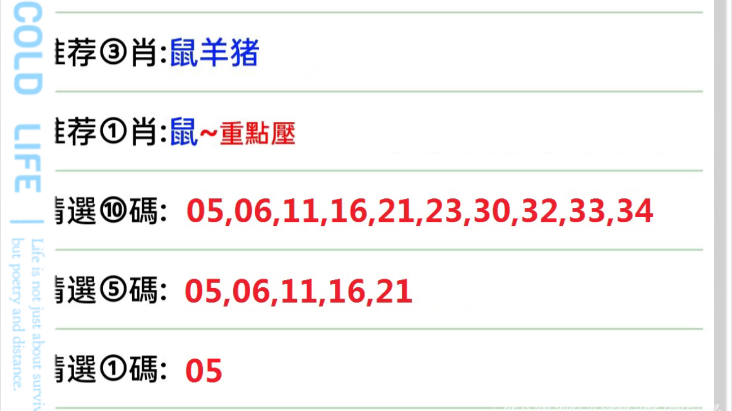 新澳门今晚精准一肖,新澳门今晚精准一肖——探索生肖运势与预测的魅力