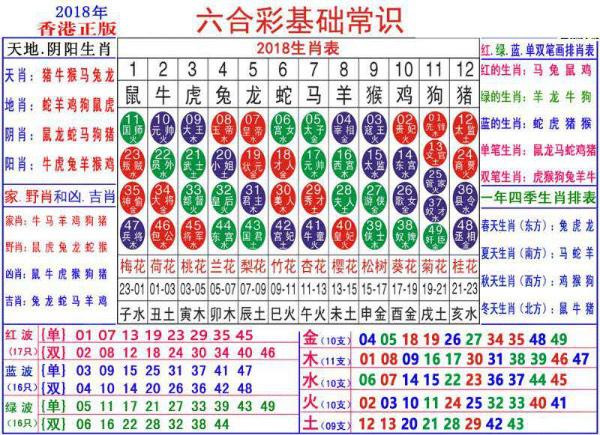 2025澳门正版资料大全资料生肖卡,澳门正版资料大全与生肖卡的独特魅力，探寻未来的幸运密码